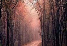 28圈：[NBA]阿德巴约空砍34+12 热火客场不敌骑士.