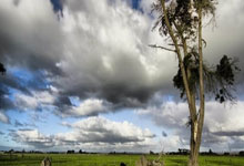 嘘声or掌声？巴特勒回应交易后首战热火 追梦放话为吉米赢下比赛.