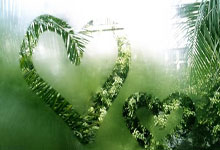 28圈：[综合]健康早间操：雷声带来击剑运动灵敏性练习.