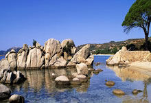 阿森纳&英格兰祝贺斯凯利首次入选三狮名单：一个突破性的赛季！.